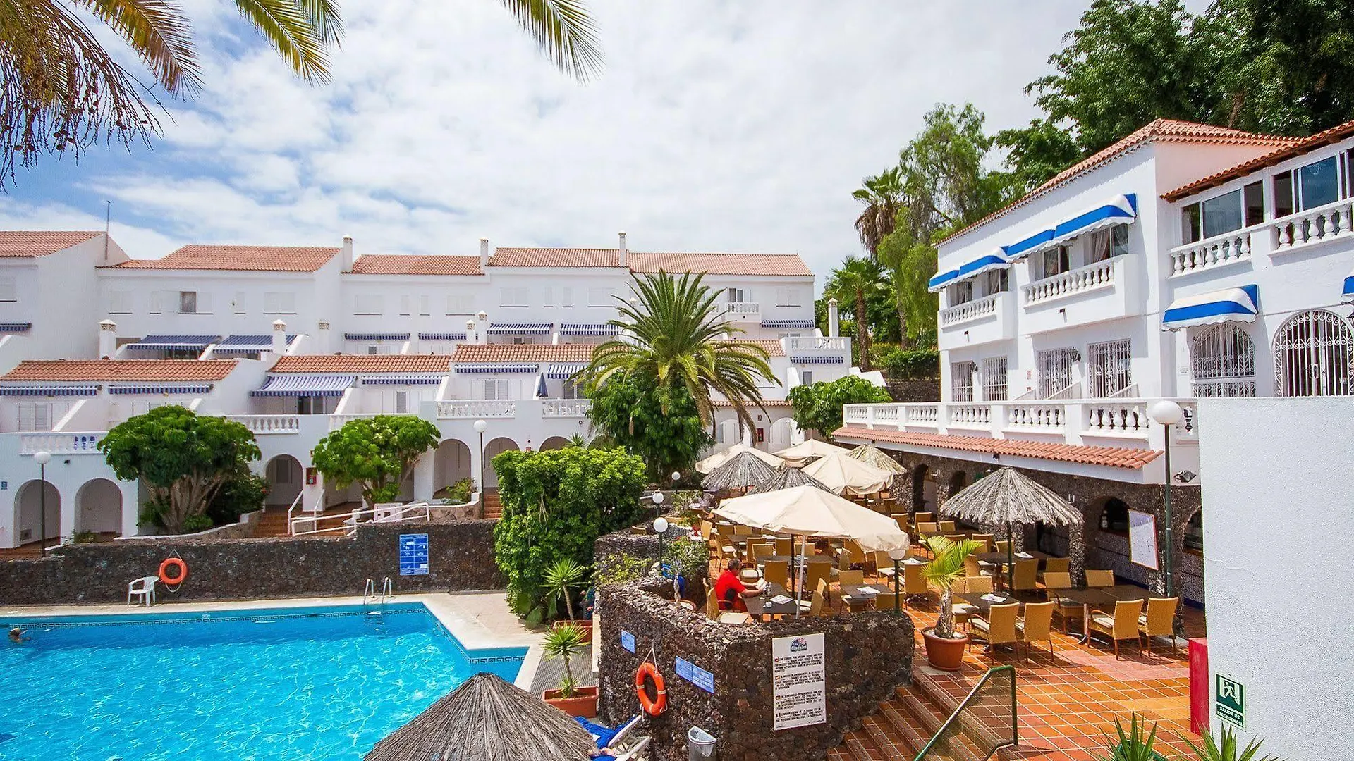 Ona Los Claveles Los Cristianos  Los Cristianos (Tenerife)