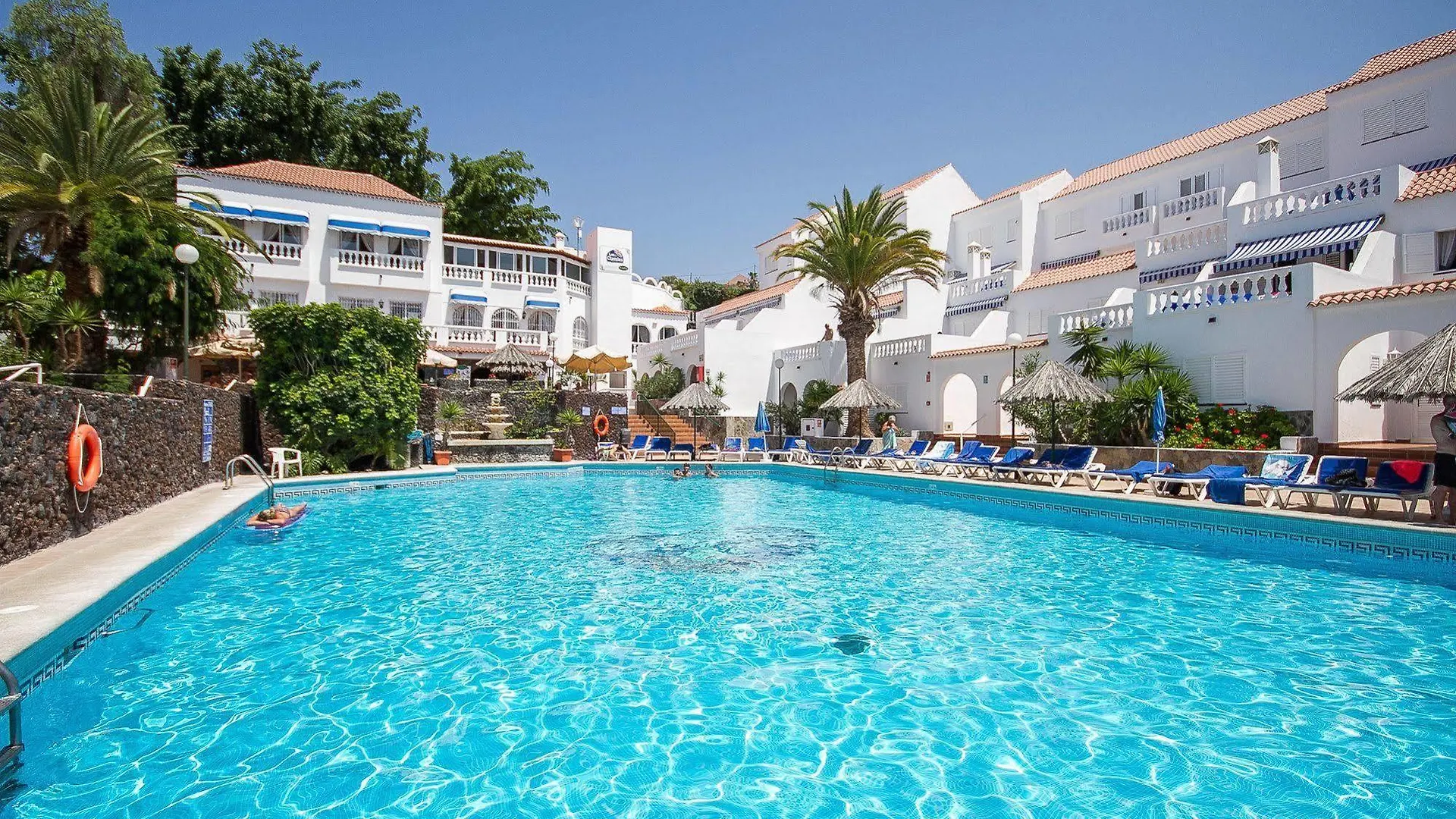 Ona Los Claveles Los Cristianos  Los Cristianos (Tenerife)