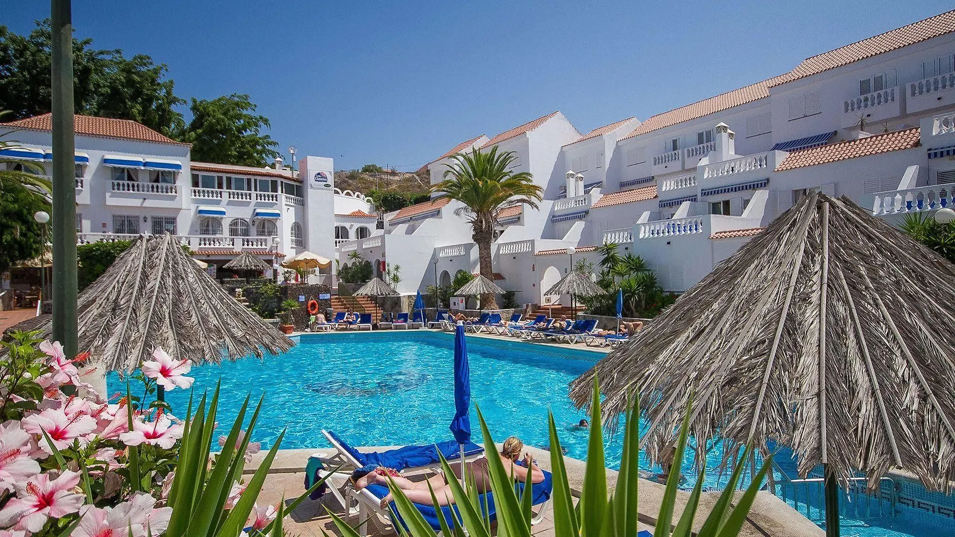 Ona Los Claveles Los Cristianos  3*, Los Cristianos (Tenerife)